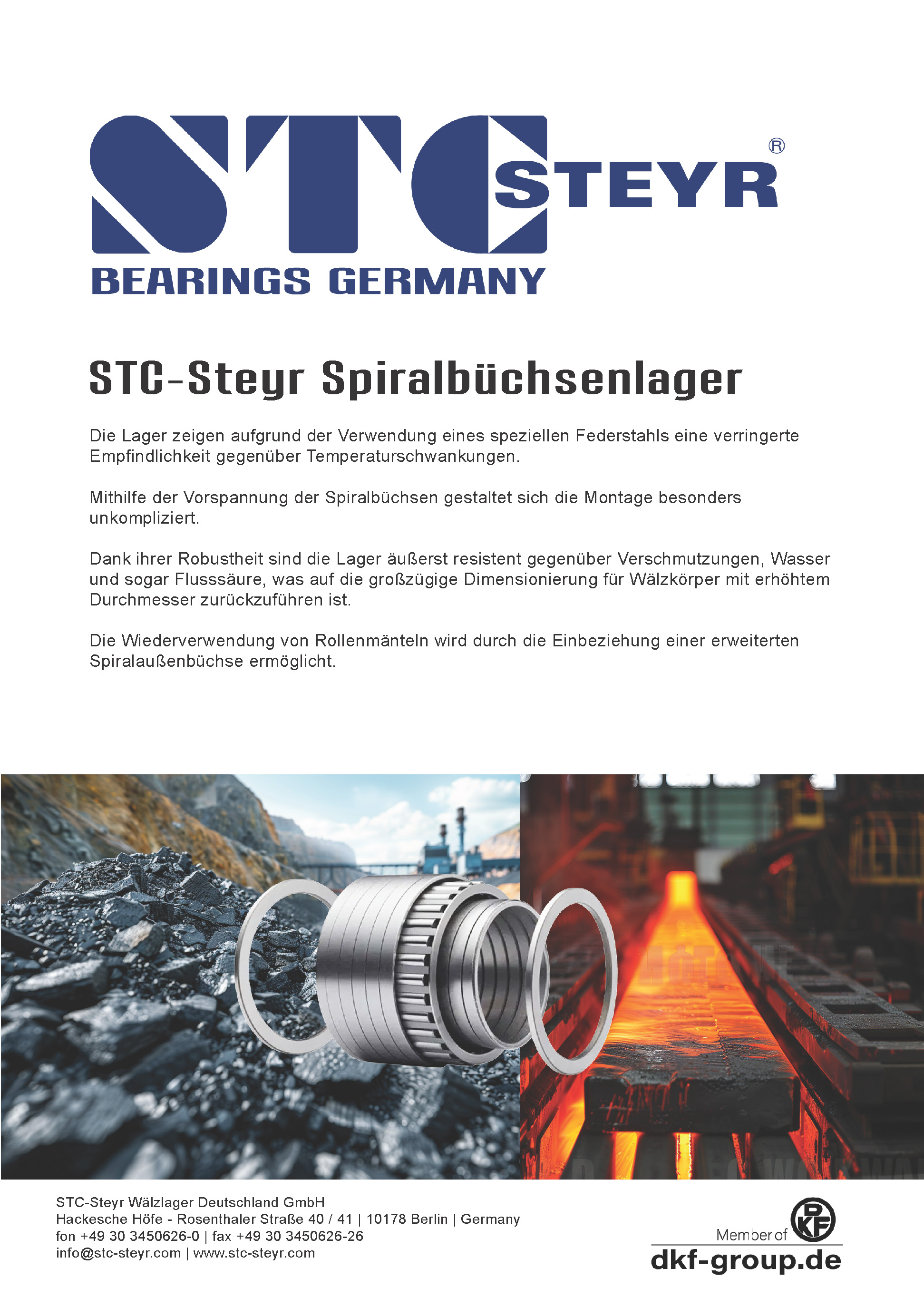 STC Steyr Spiralbüchsenlager 